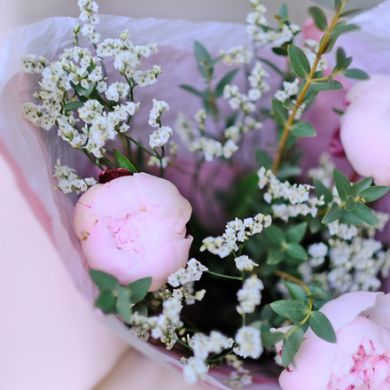 Букет-комплимент из пионов #5191