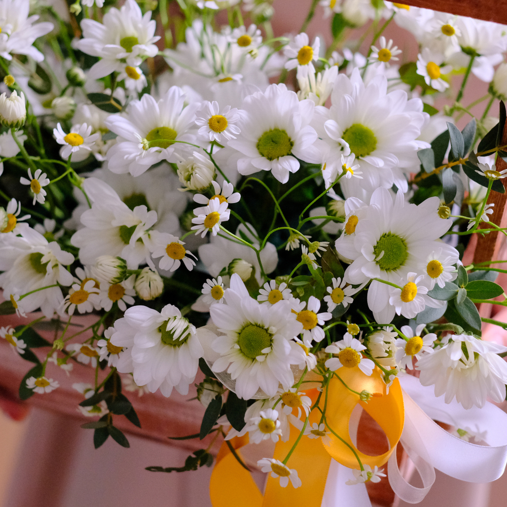 Композиция с ромашками "Искренняя"