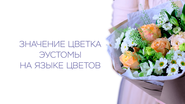 Значение цветка эустомы на языке цветов