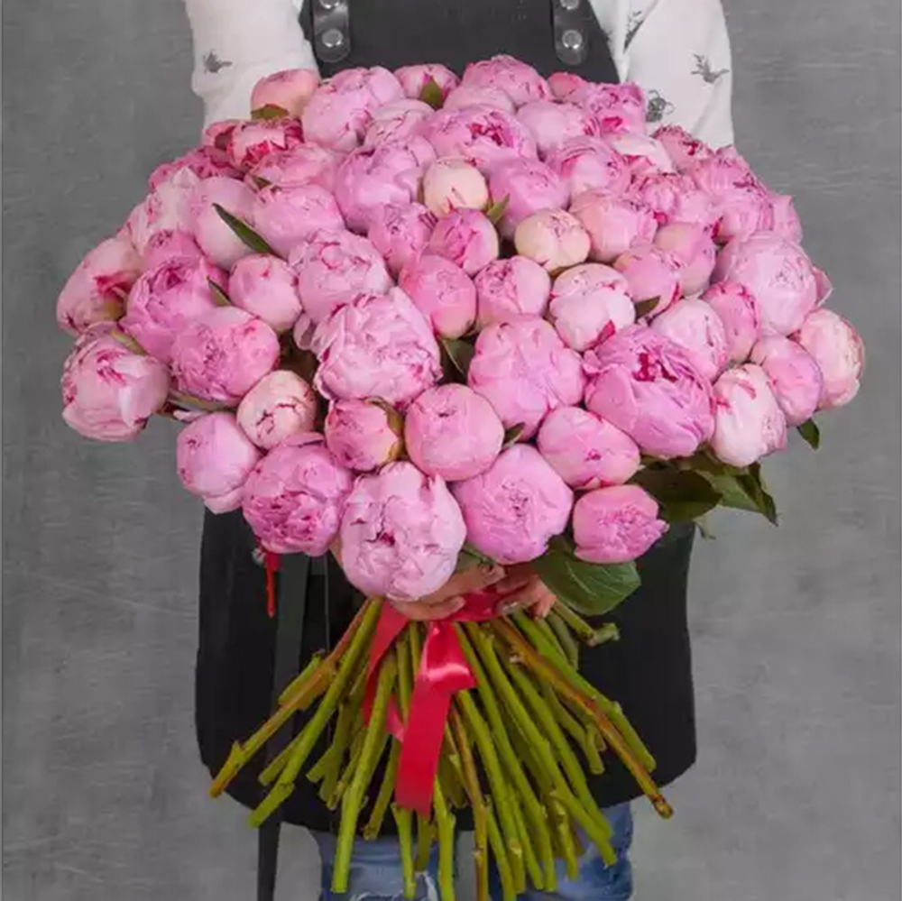 Пионы розовые "Sarah Bernhardt" от 3шт