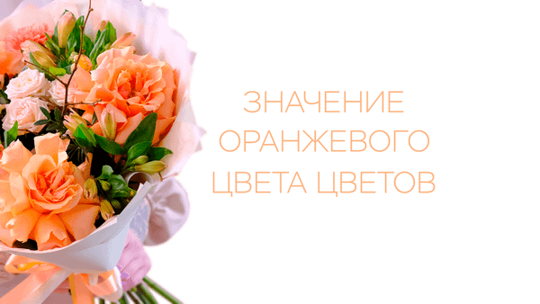 Значение оранжевого цвета цветов