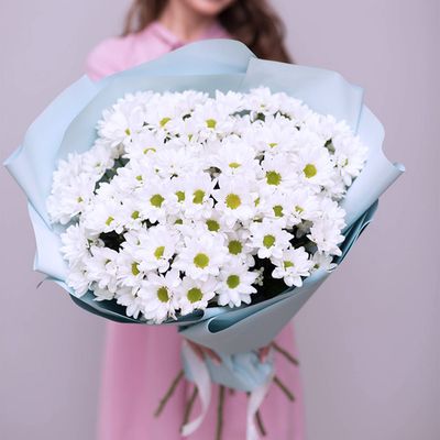 Кустовые хризантемы