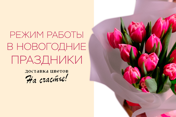 Режим работы в новогодние праздники