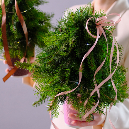 Композиция новогодняя "Елочка" в крафт-стакане #715 