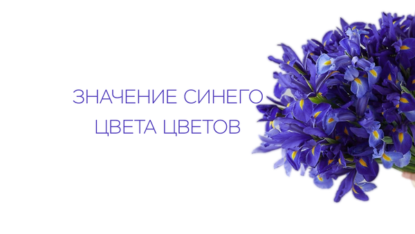 Значение синего цвета цветов Значение синего цвета цветов