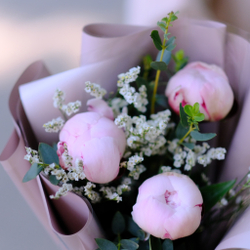 Букет-комплимент из пионов #520