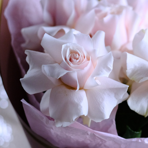 Купить Букет французских роз Pink