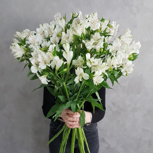 Купить Альстромерия белая, банч