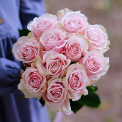 Букет нежных роз #556