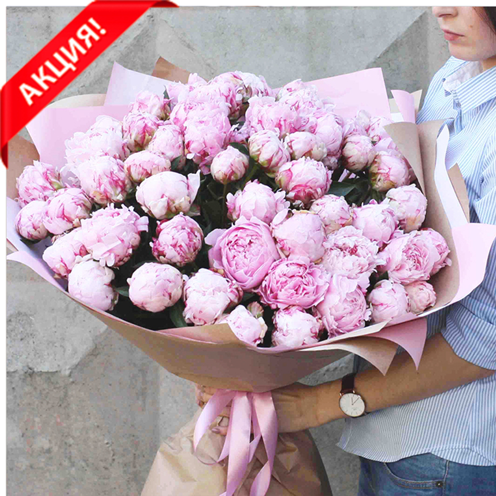 Купить шикарный букет 51 розовый пион Сара Бернар в Перми