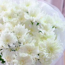 Букет кустовых хризантем "Белый вальс"