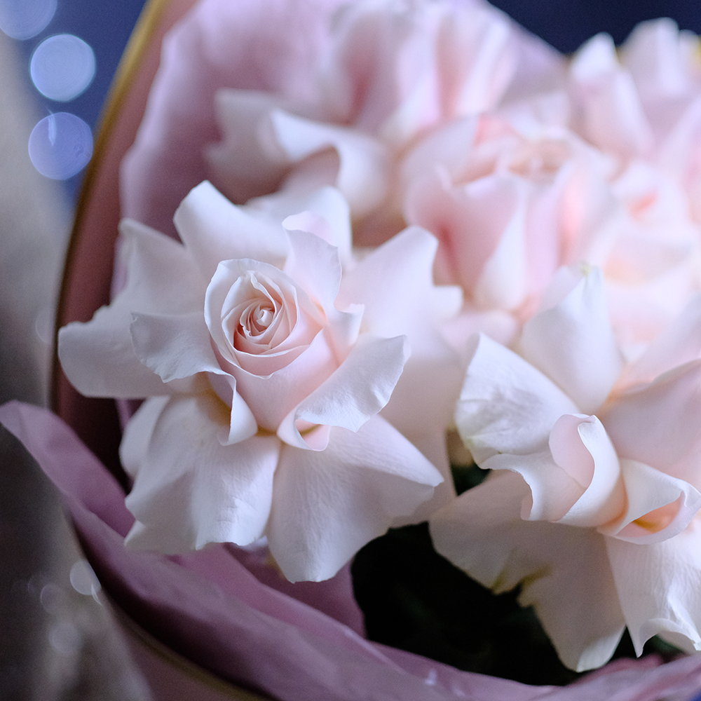 Розы французские Pink от 9шт