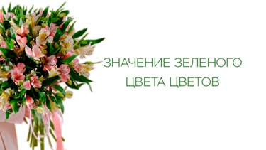 Значение зеленого цвета цветов