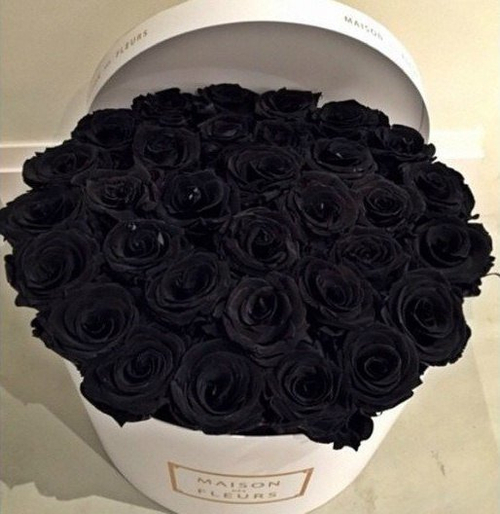 Купить Розы черные от 9шт
