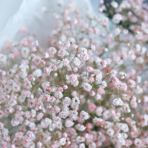 Купить Букет из гипсофилы «‎Розовое облачко»