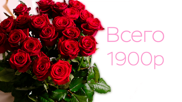 Шок цена на российские розы! 19 высоких красных роз - всего 1.900₽