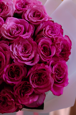 Букет садовых роз Эшли Пинк #225