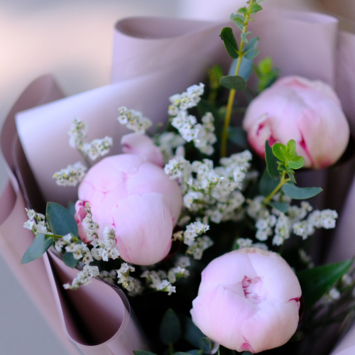 Купить Букет-комплимент из пионов #5202