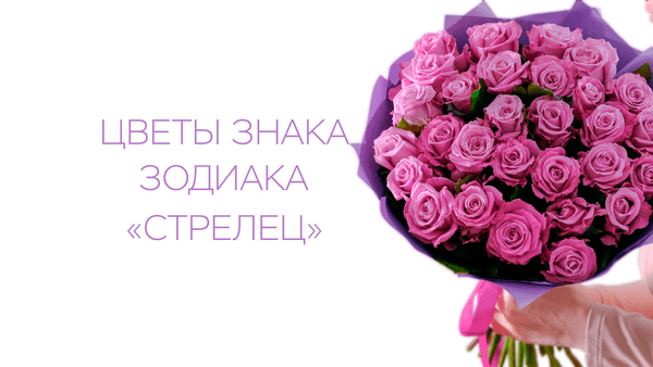 Цветы знака зодиака «Стрелец»