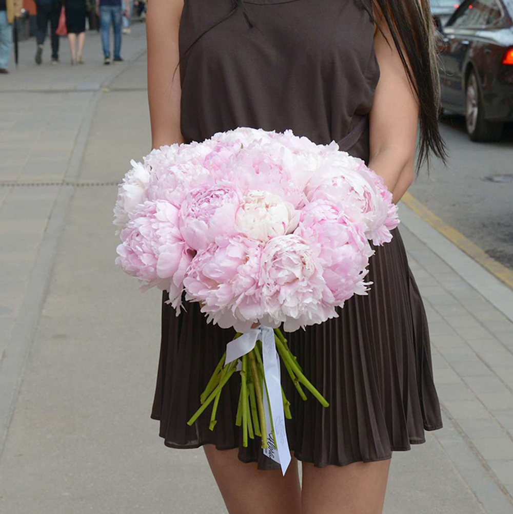 Пионы розовые "Sarah Bernhardt" от 3шт