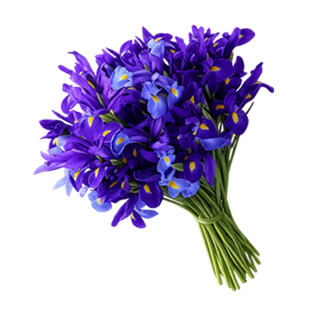 Цветы охапками