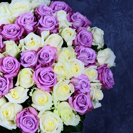 Розы микс "Лунная соната"
