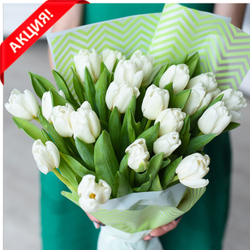 Букет 21 белый тюльпан