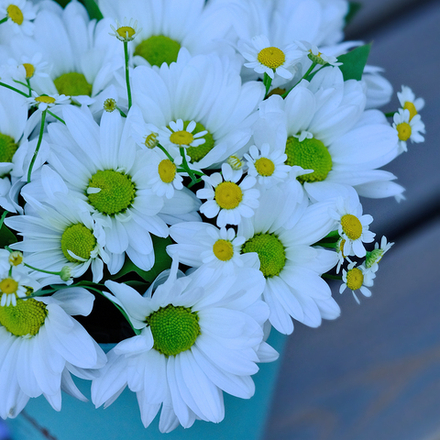 Композиция-комплимент с ромашками