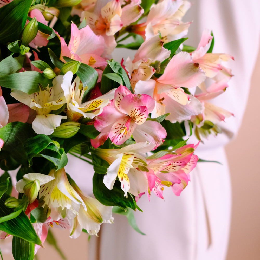 Букет альстромерий "Палитра" #940