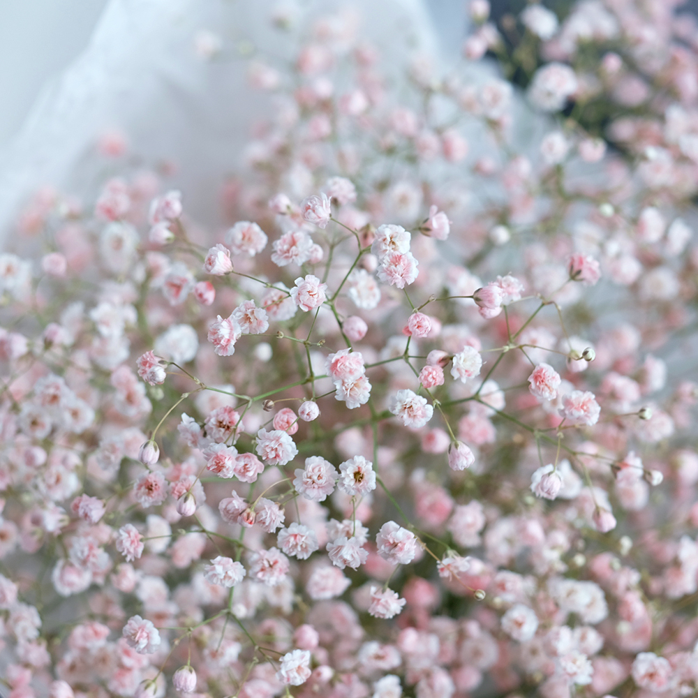 Букет из гипсофилы «‎Розовое облачко»
