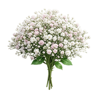 Букеты с гипсофилой