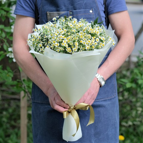 Букет 11 ромашек