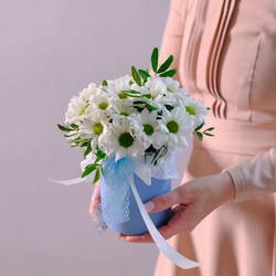 Композиция из ромашек в шляпной коробке XS #215