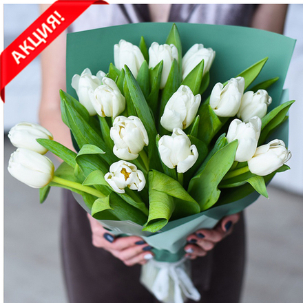 Букет 15 белых тюльпанов