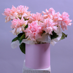 Французские розы в шляпной коробке #905