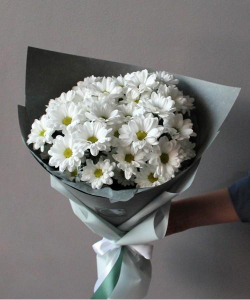 Хризантемы кустовые белые Bacardi от 3шт