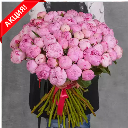 Букет 61 пион "Sarah Bernhardt"