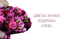 Цветы знака зодиака «Лев»