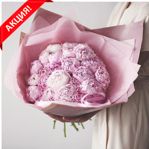 Купить Букет 29 пионов "Sarah Bernhardt"